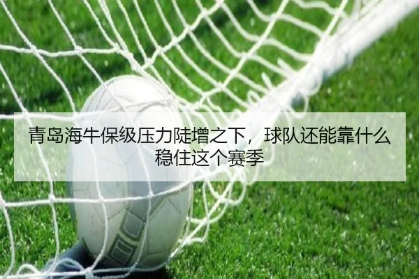 青岛海牛保级压力陡增之下，球队还能靠什么稳住这个赛季